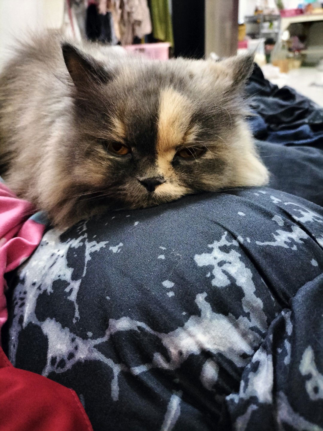 Kanjana profile icon