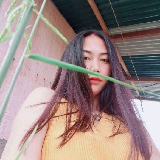 Dahlia Nicolas profile icon