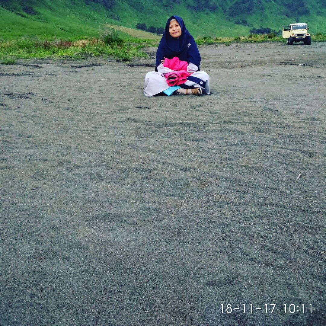 Amie Peseck profile icon