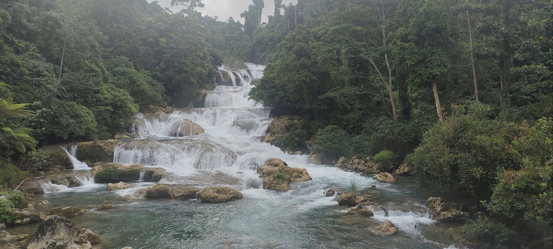 chumviechum profile icon