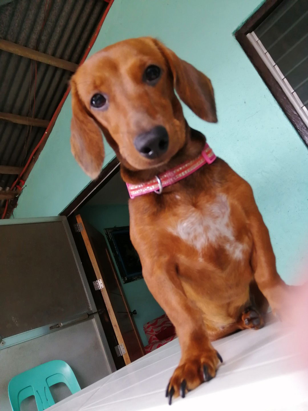 Ellaine Peñamora profile icon