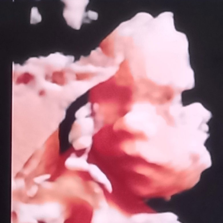 Fah Fah profile icon