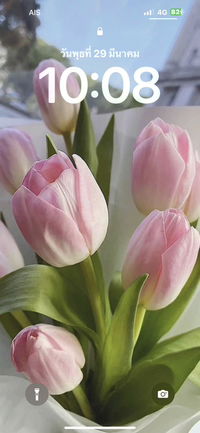 Fah Marisa profile icon