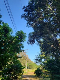 Dream_m profile icon