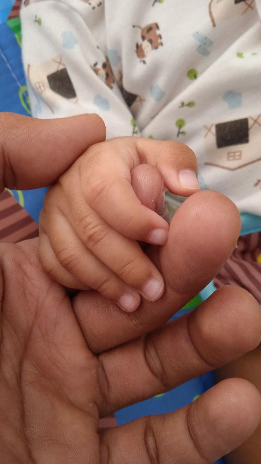 Ikhsan Isminarto profile icon