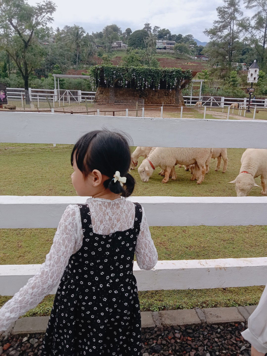 Helfi Helani profile icon