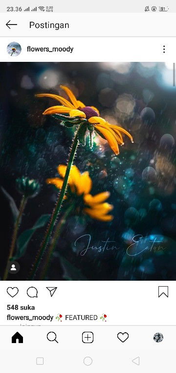 Bunga Mawar profile icon