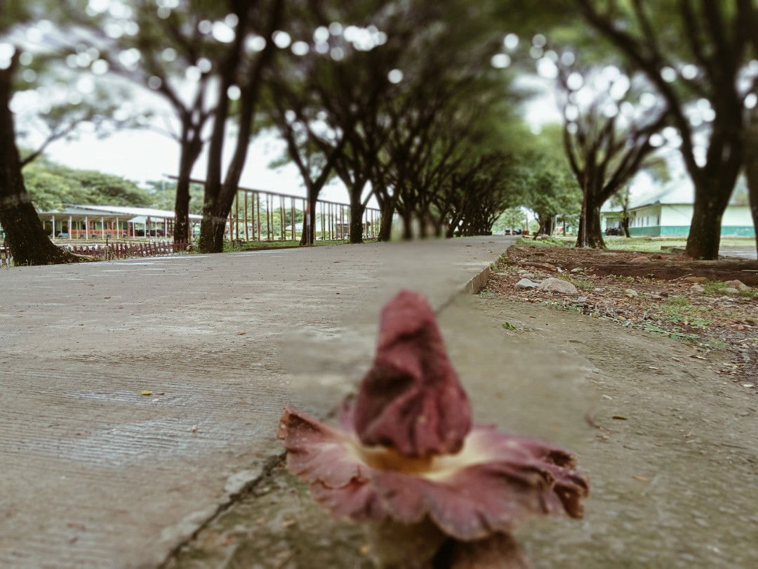 Sunarti profile icon