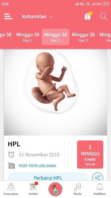 kehamilan