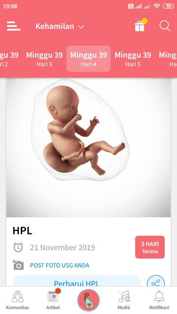 kehamilan