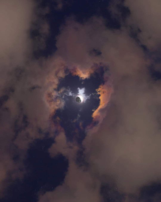 Jasicca D. Paulip profile icon