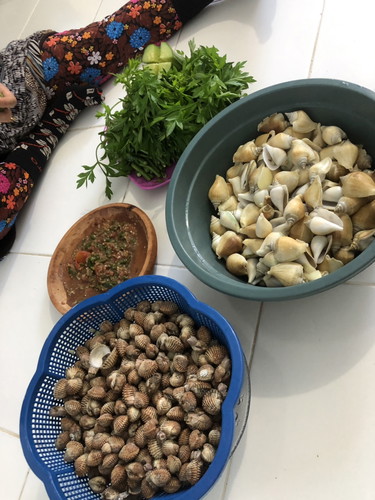 kerang