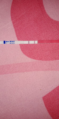 Dpo13