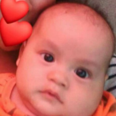 หมาฟรอยของแม่.?