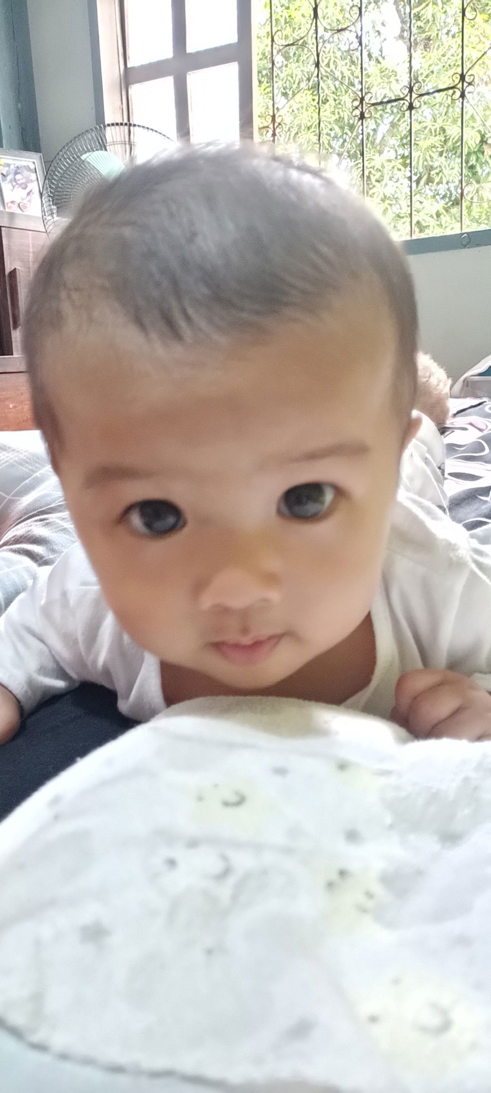 Papa Bear profile icon