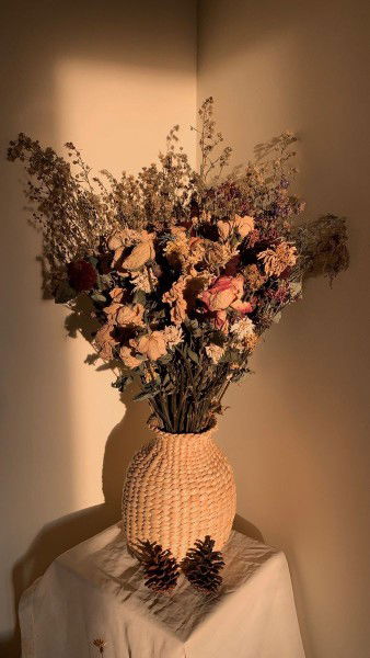 reni arista profile icon