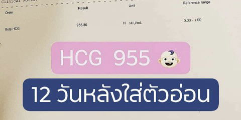 เด็กหลอดแก้ว (ICSI) อยากรู้ว่าค่าเลือดสูงๆเพราะตั้งครรภ์แฝดมั้ยค่ะ