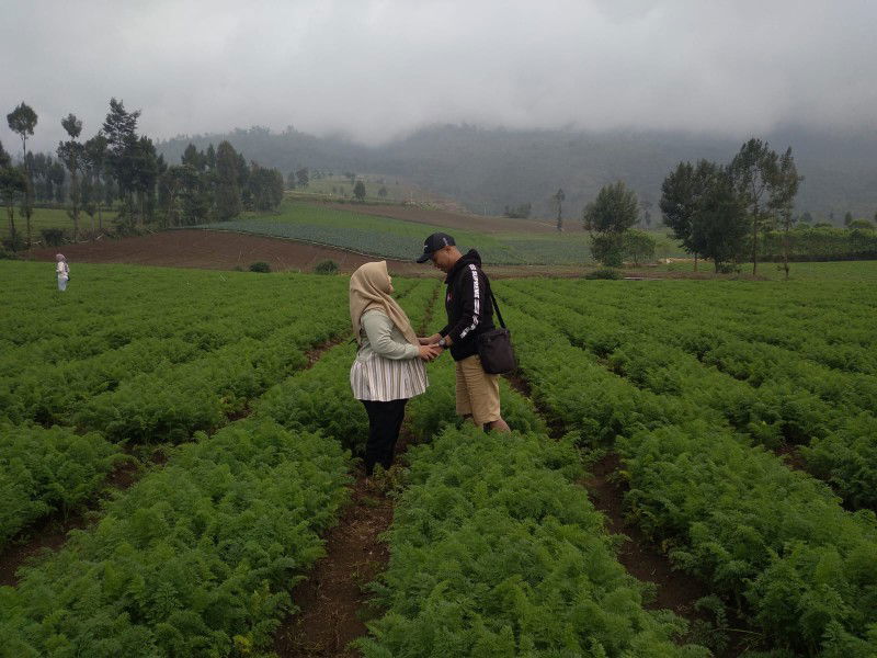 ayu kurnia s profile icon