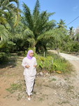 arinahsuherwin profile icon