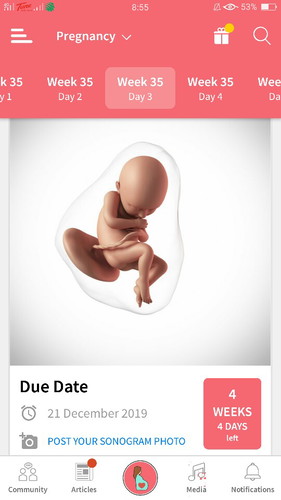 4 Minggu 4 Hari Lagi