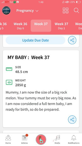 37 weeks