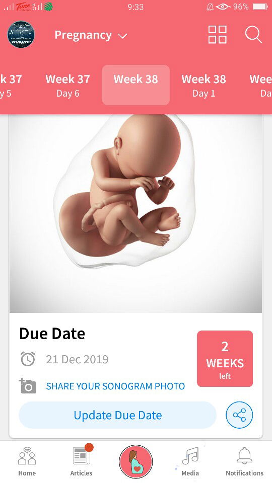 38 week