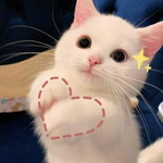 phitchaa profile icon