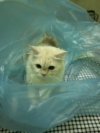 กุ้ง นาง. profile icon