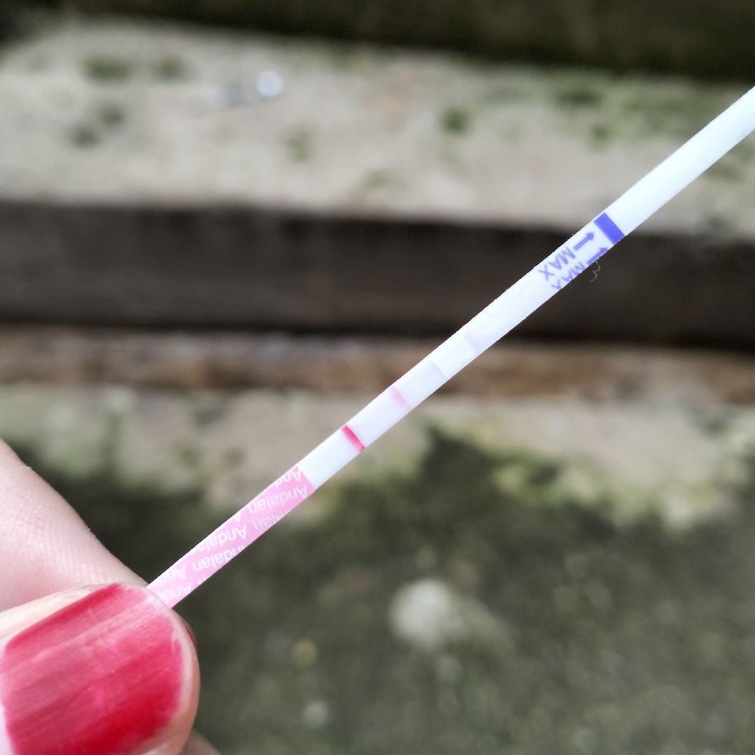 Zunita Ayu profile icon