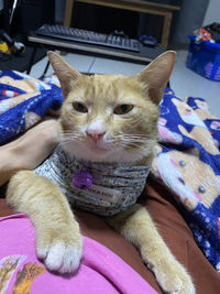 Monticha profile icon