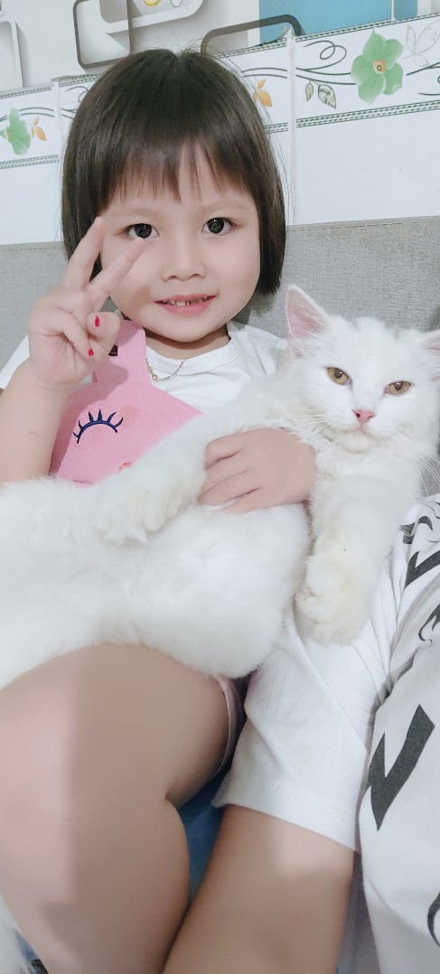 Nguyễn Ngọc Tường Lam profile icon