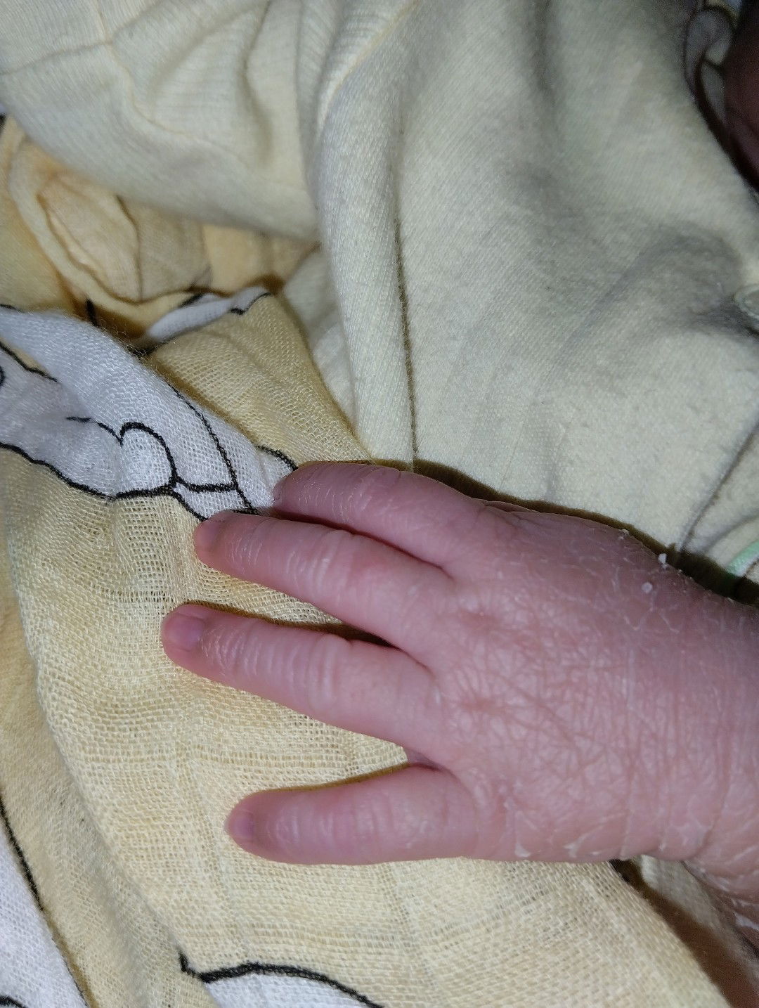 Fadzli Husna profile icon