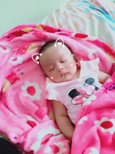 หมูน้อย