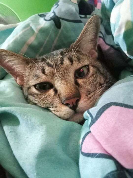 เน ย. profile icon