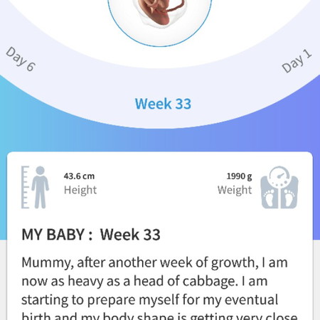 33weeks