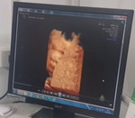 ศตกมล profile icon