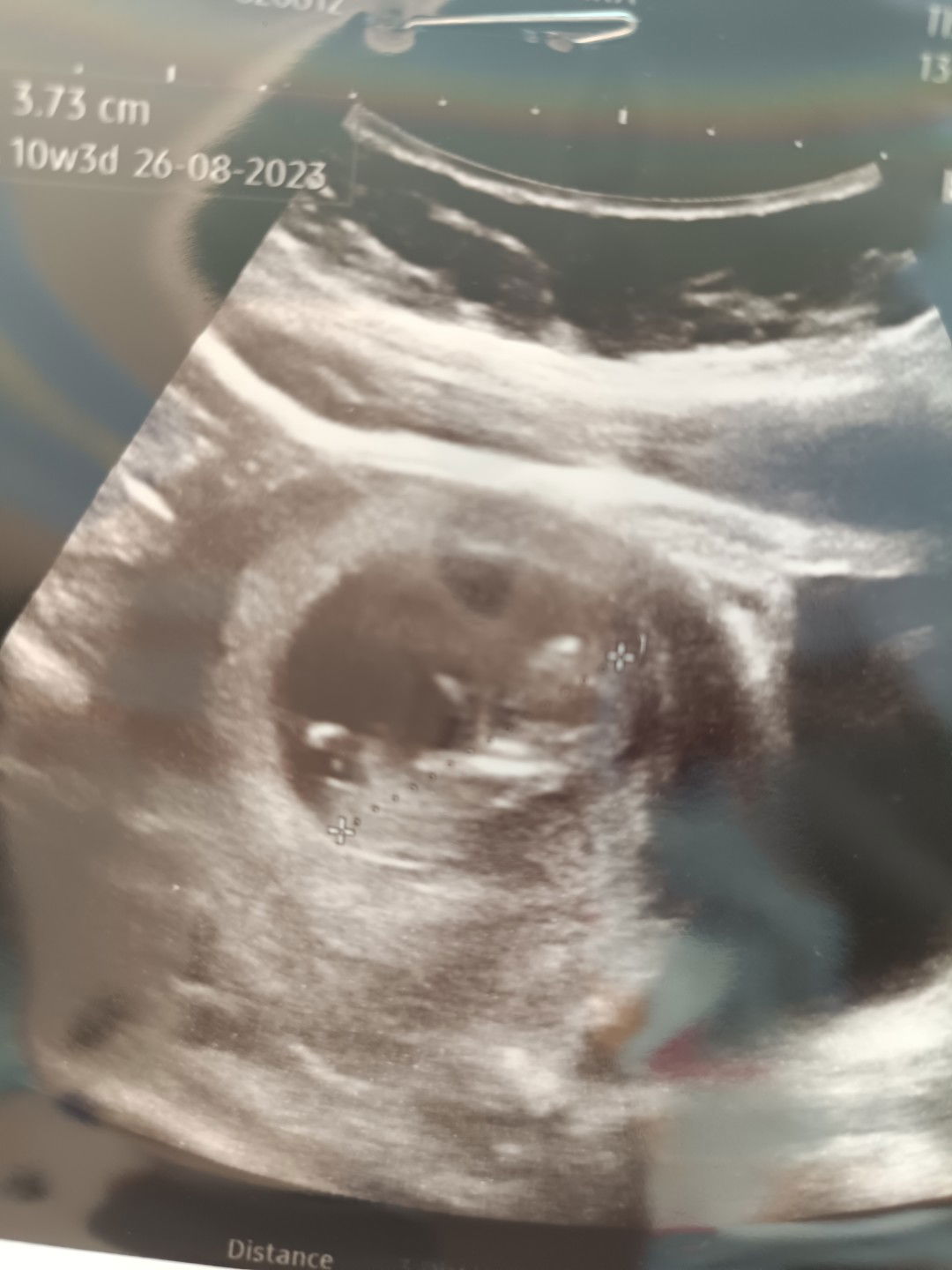 Tapakji profile icon