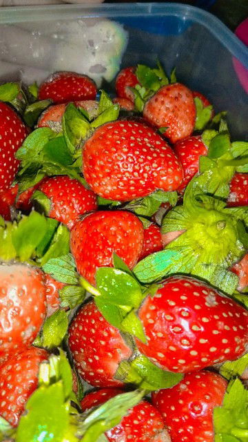 Muhibbatum muthoharoh profile icon