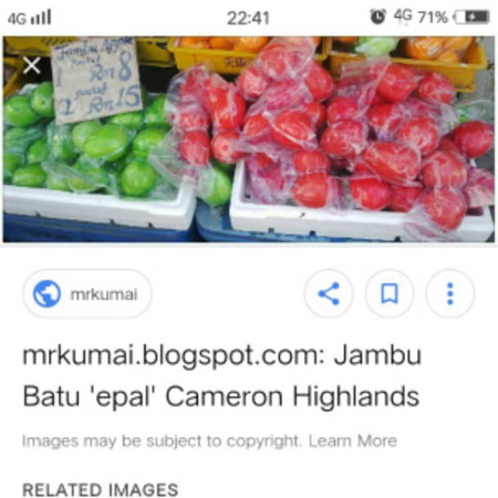 Jambu Epal