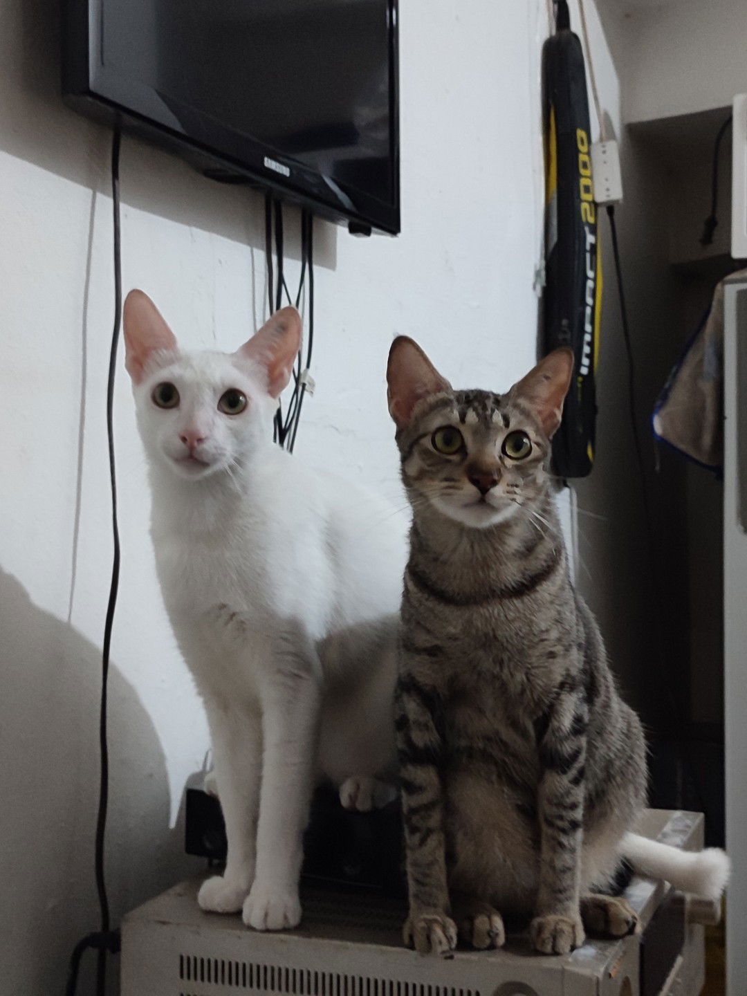 Demidemiii profile icon