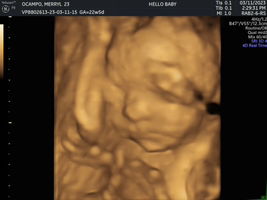 Merryl Ocampo profile icon