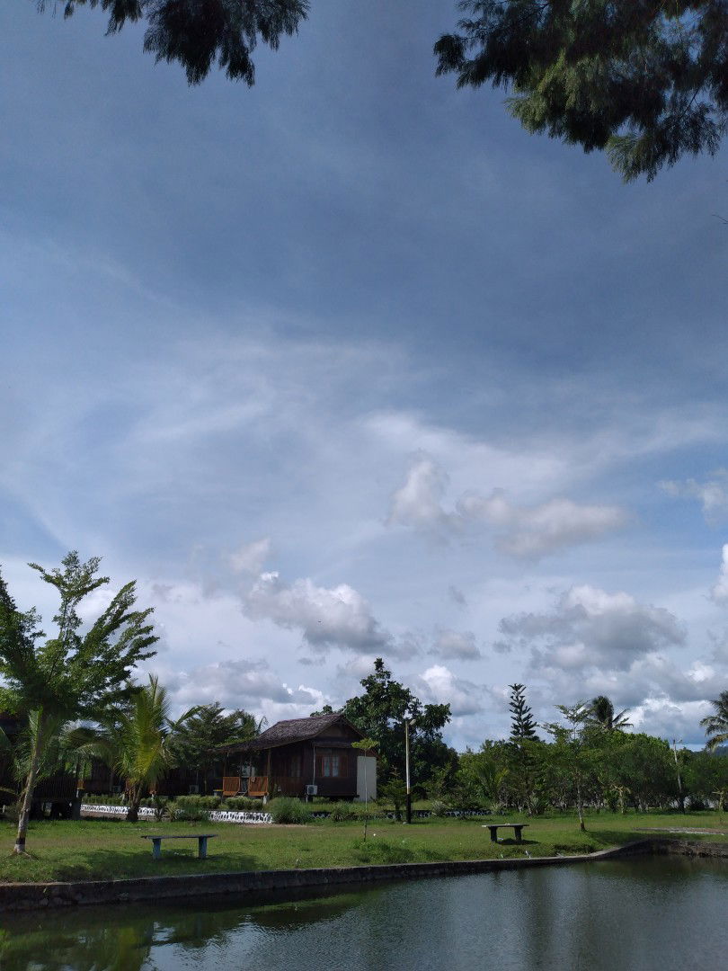 Rana Rafidah profile icon