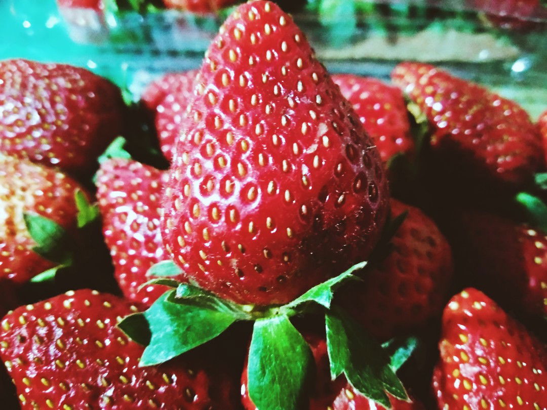 Ummu Hilya profile icon