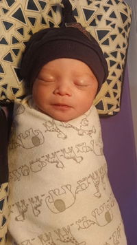 Putri Fairuz profile icon