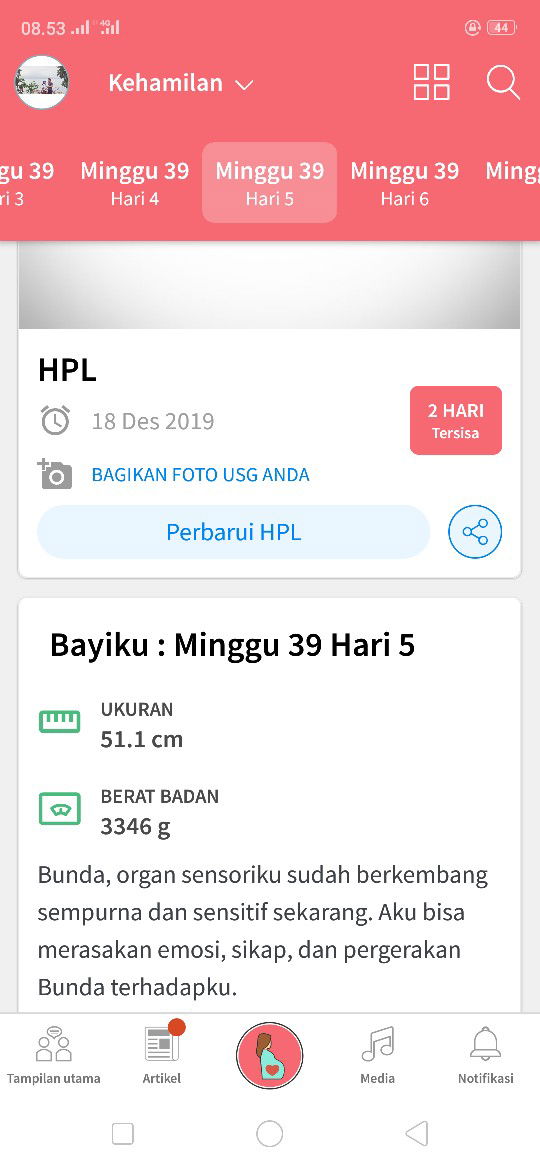 Pasrah saja, apapun jalan nya..