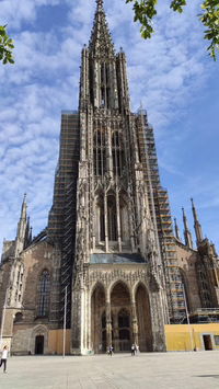 Alyssa Büchler profile icon