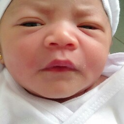 baby