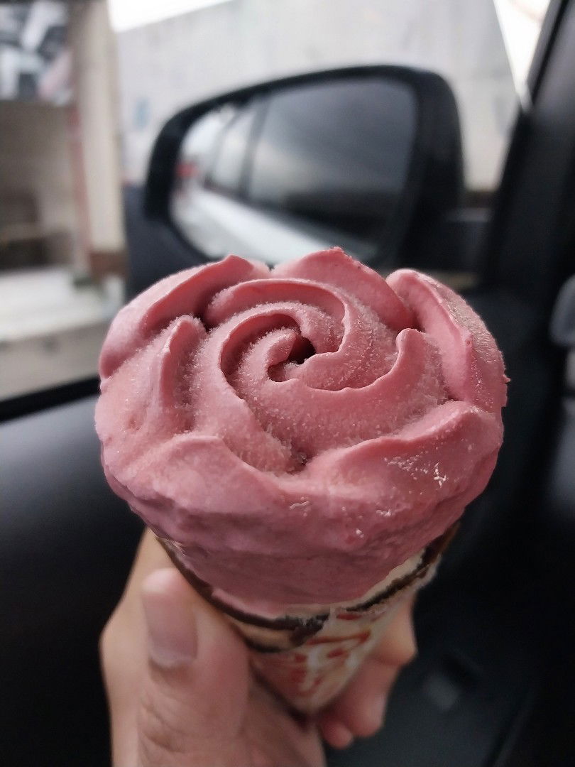 Safaris- profile icon