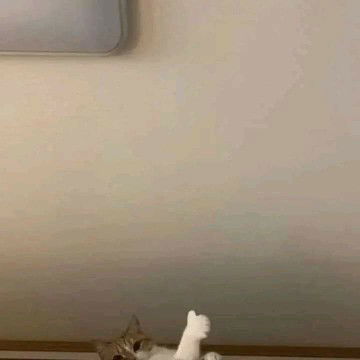 Umi Anisa profile icon