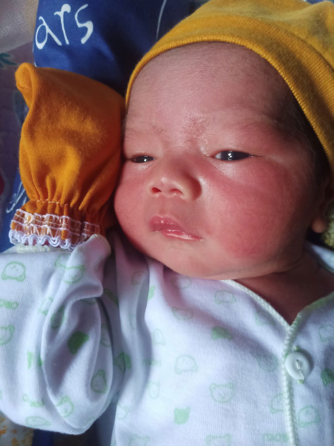 vie vii profile icon